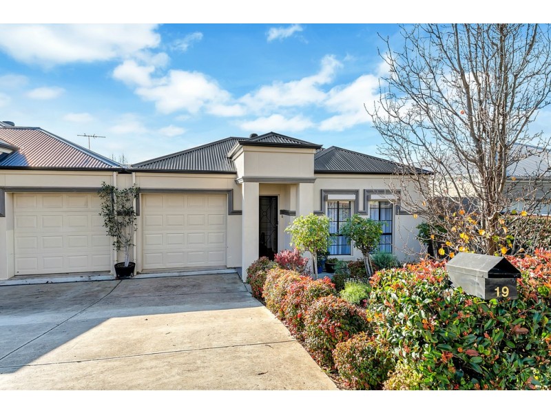 19 Alderman Avenue, Seacombe Gardens SA 5047