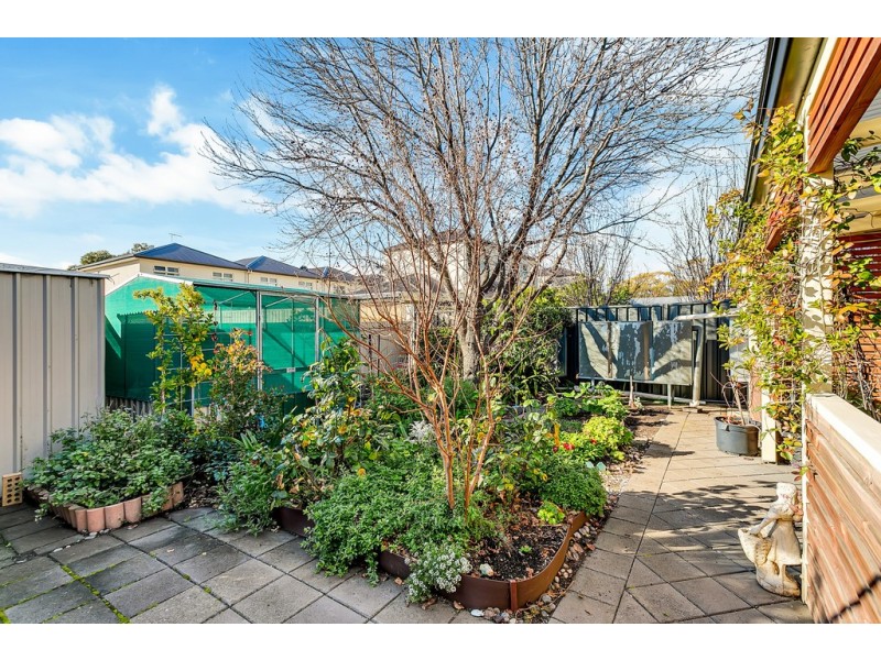 19 Alderman Avenue, Seacombe Gardens SA 5047