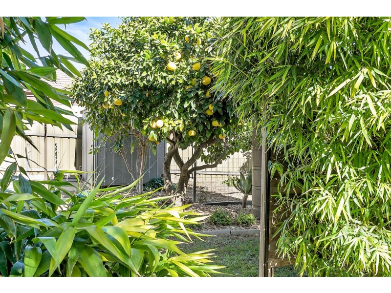 27 Stewart Street, South Brighton SA 5048