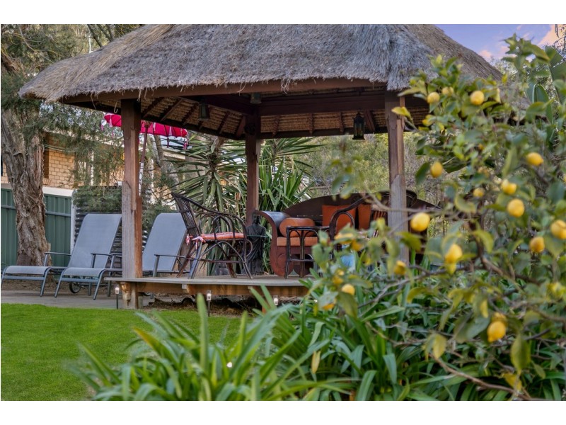 1 Thornbill Crescent, Coromandel Valley SA 5051