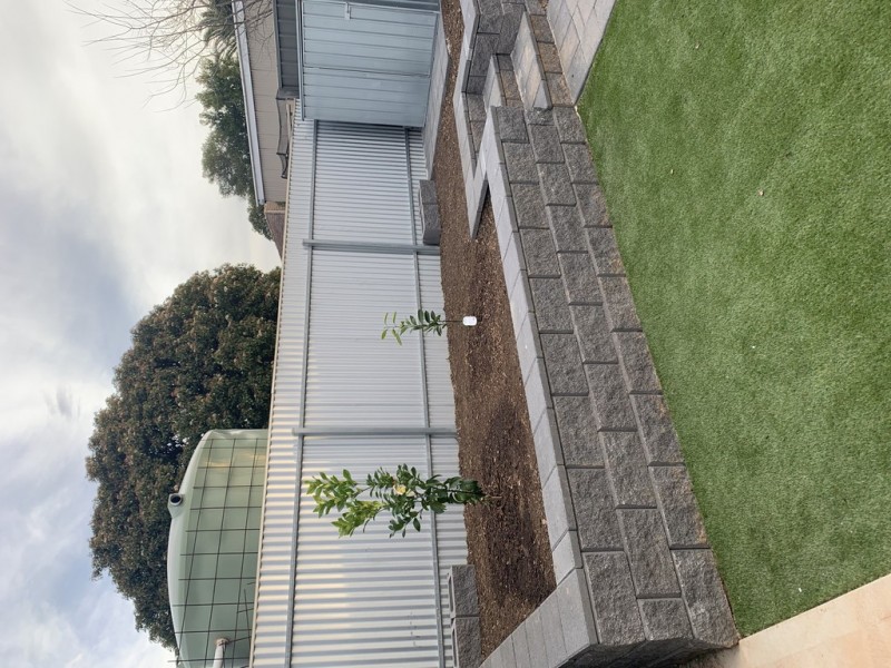 13a Australian Avenue, Clovelly Park SA 5042