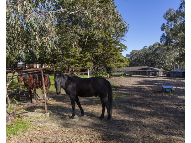 Lot 12 – 7 Jordan Avenue, Happy Valley SA 5159