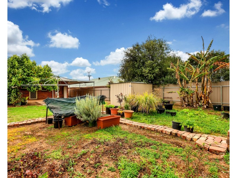 120 Bradley Grove, Mitchell Park SA 5043