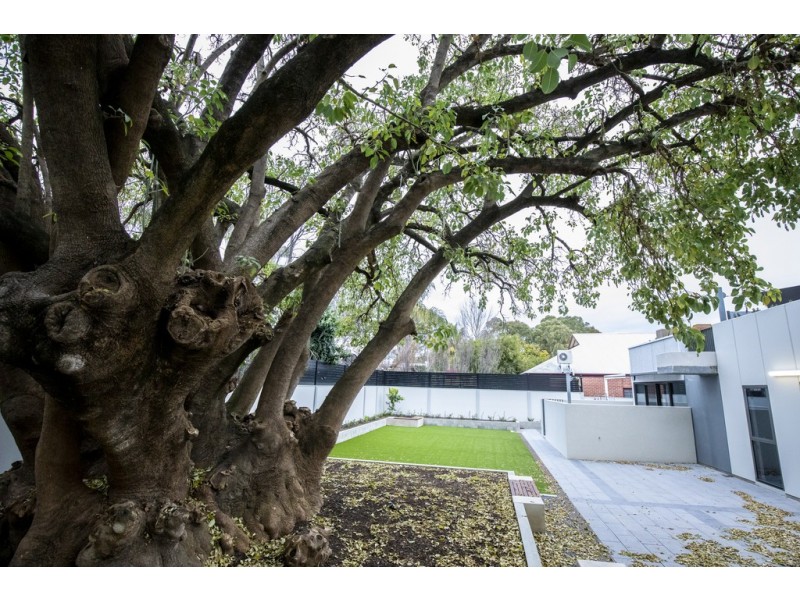 407/1 George Street, Parkside SA 5063