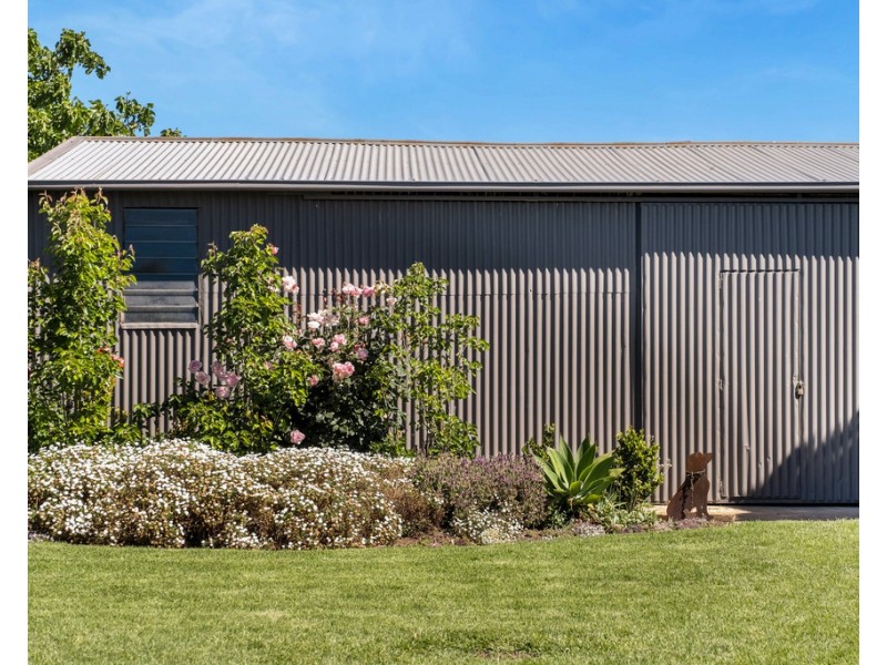 74 Craig Street, Richmond SA 5033