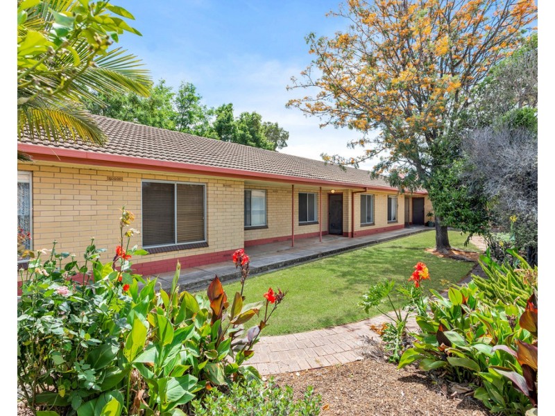 3/17 Halifax Street, Hilton SA 5033