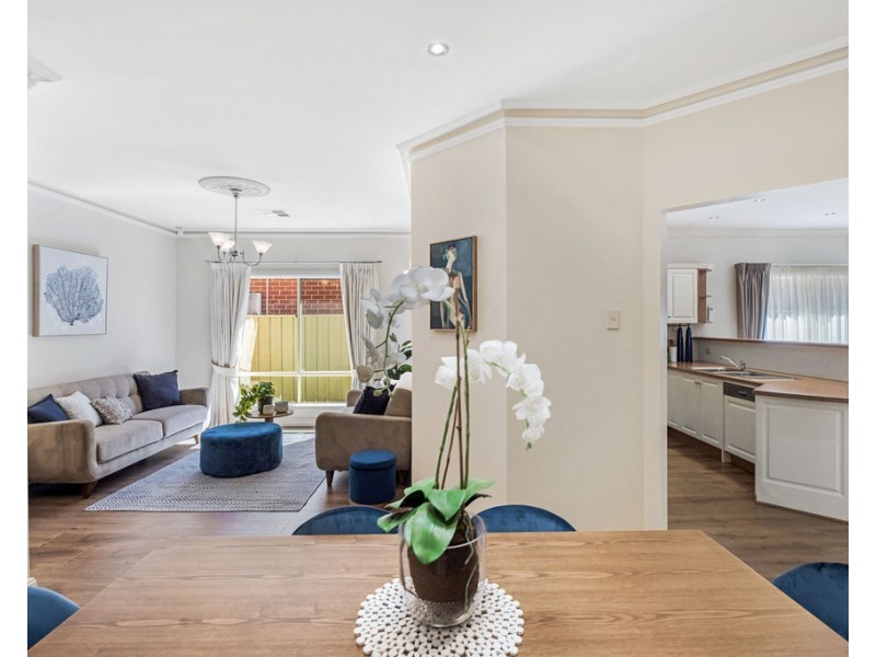 5 Crawford Court, Richmond SA 5033