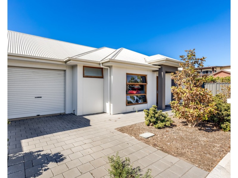 3 Peter Street, Marion SA 5043