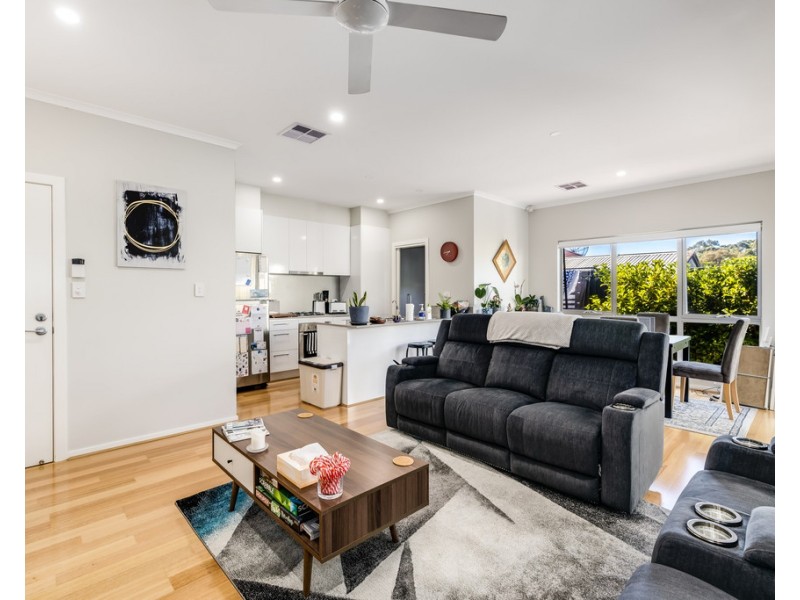 3 Peter Street, Marion SA 5043