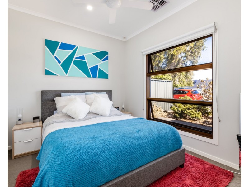 3 Peter Street, Marion SA 5043