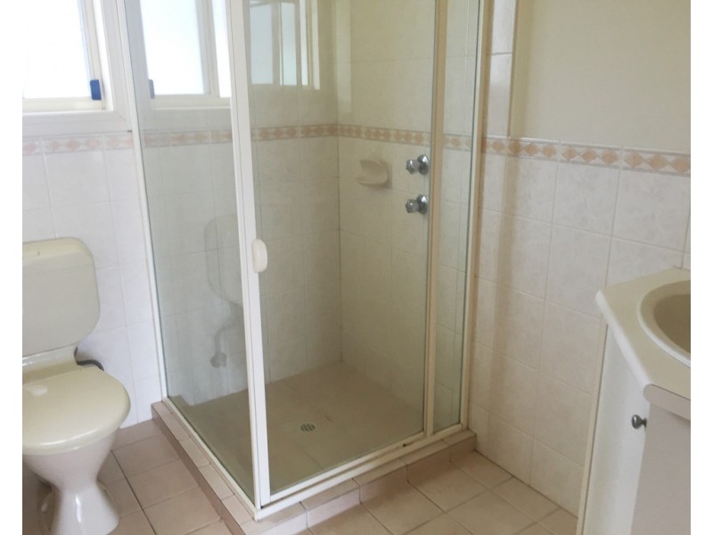 3 Windsor Avenue, Clovelly Park SA 5042