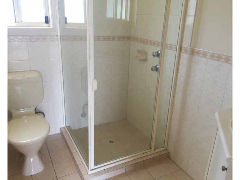 3 Windsor Avenue, Clovelly Park SA 5042