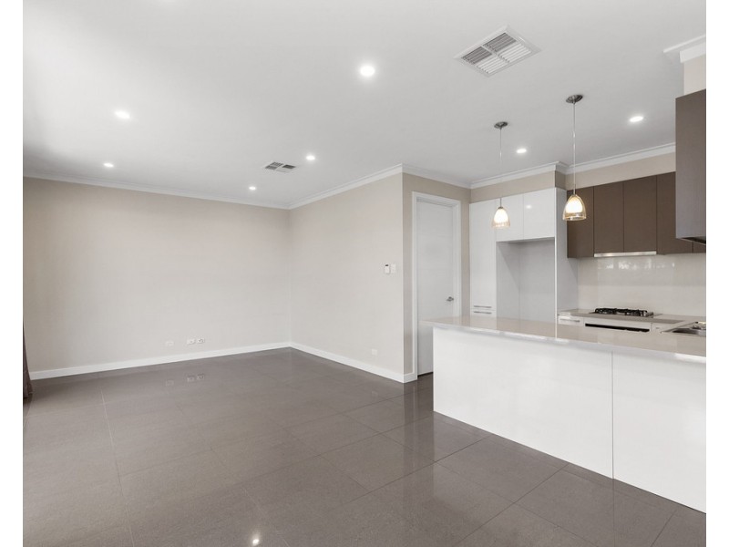 18 Ferry Avenue, Plympton Park SA 5038