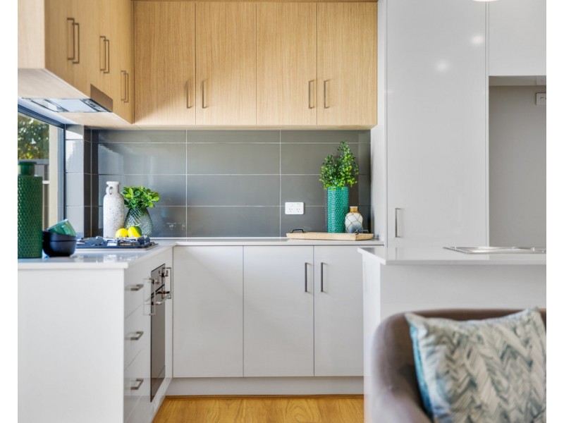 121 Raglan Avenue, South Plympton SA 5038