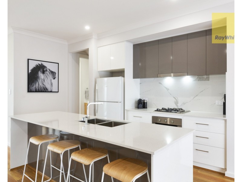 6 Pistolier Street, Plympton SA 5038