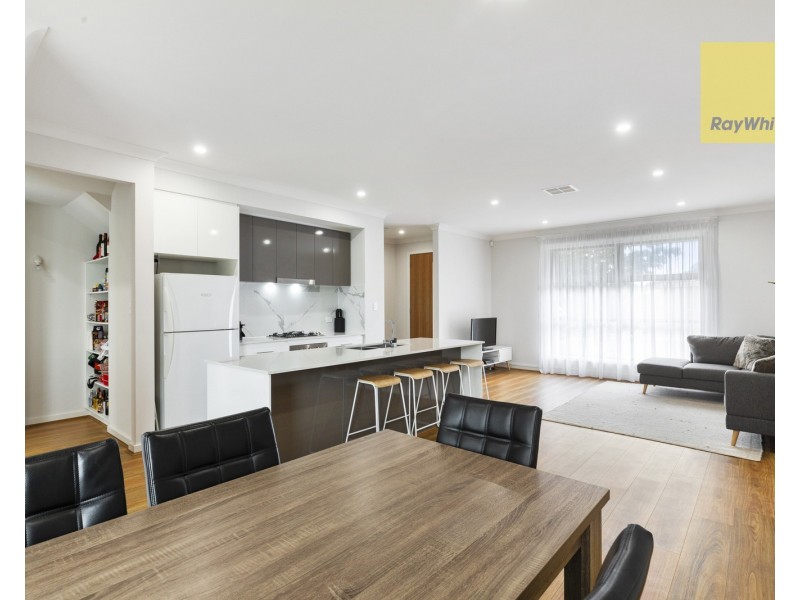 6 Pistolier Street, Plympton SA 5038