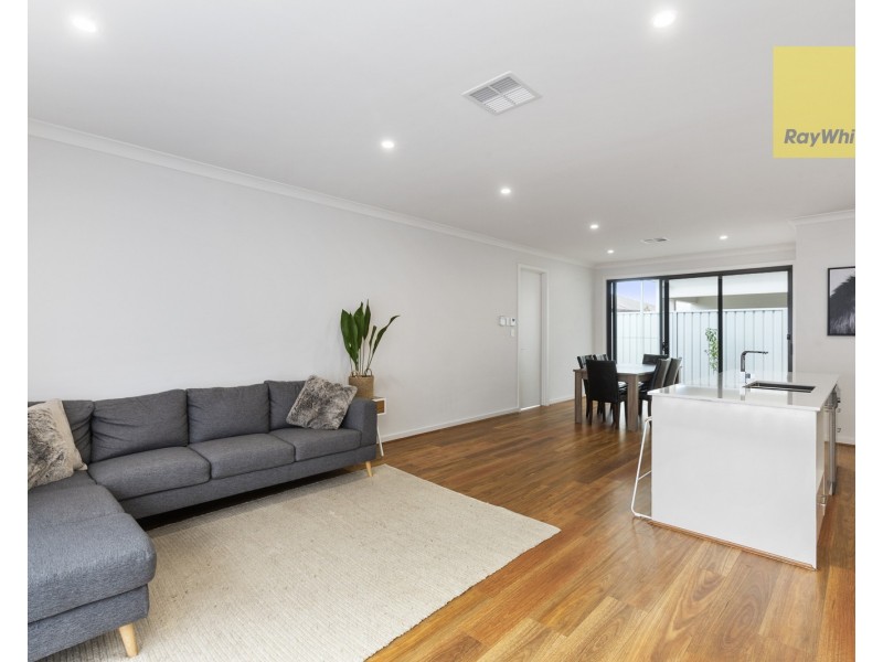 6 Pistolier Street, Plympton SA 5038