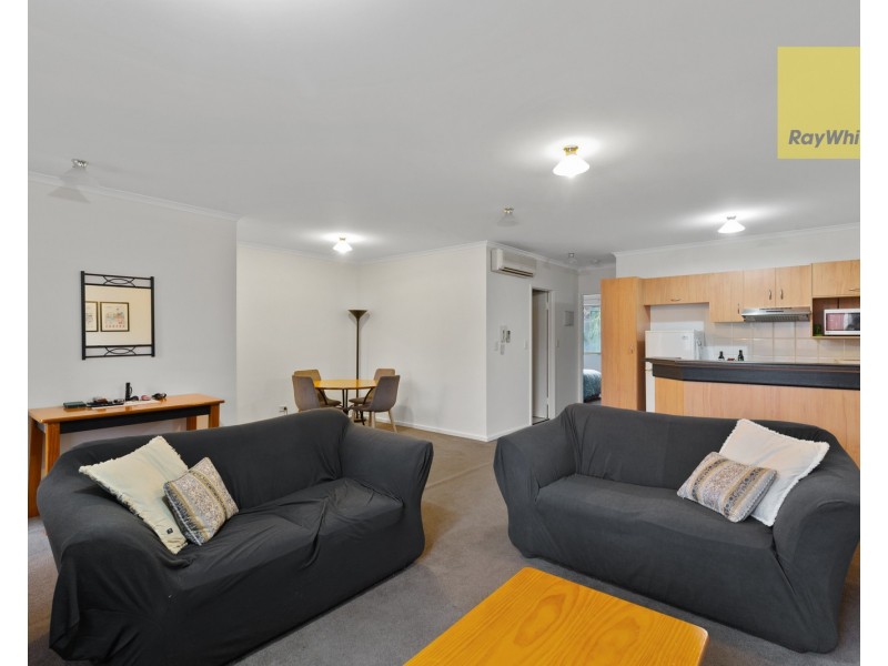 42/55 Melbourne Street, North Adelaide SA 5006