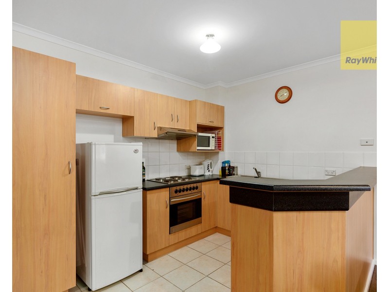 42/55 Melbourne Street, North Adelaide SA 5006
