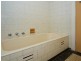 94 Raglan Avenue, South Plympton SA 5038