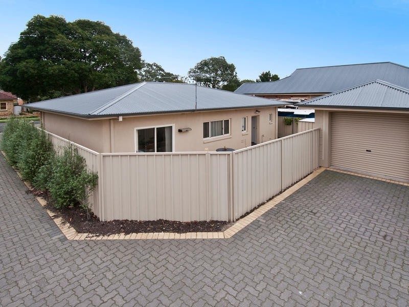 31 Bransby Avenue, North Plympton SA 5037