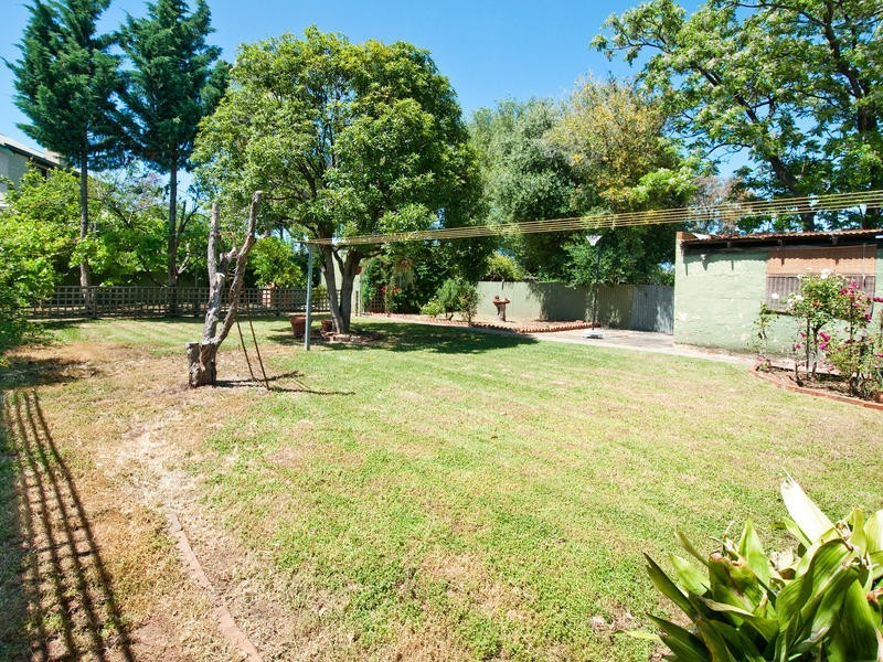 38 Elizabeth Avenue, Plympton SA 5038