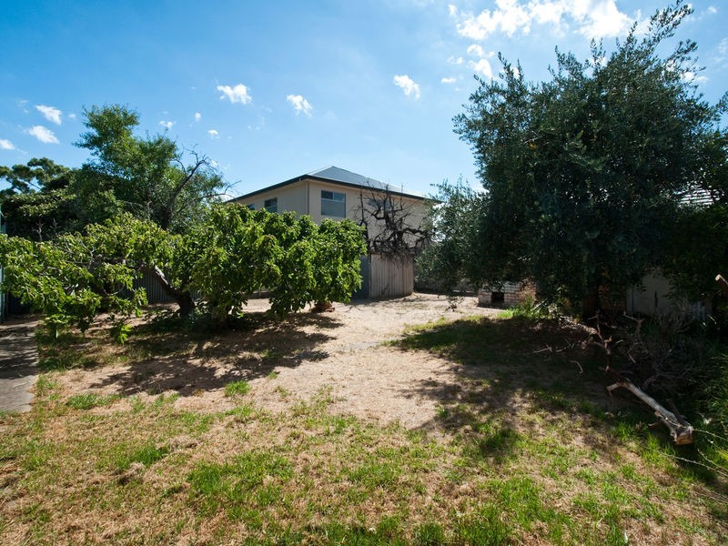 31 Allchurch Avenue, North Plympton SA 5037