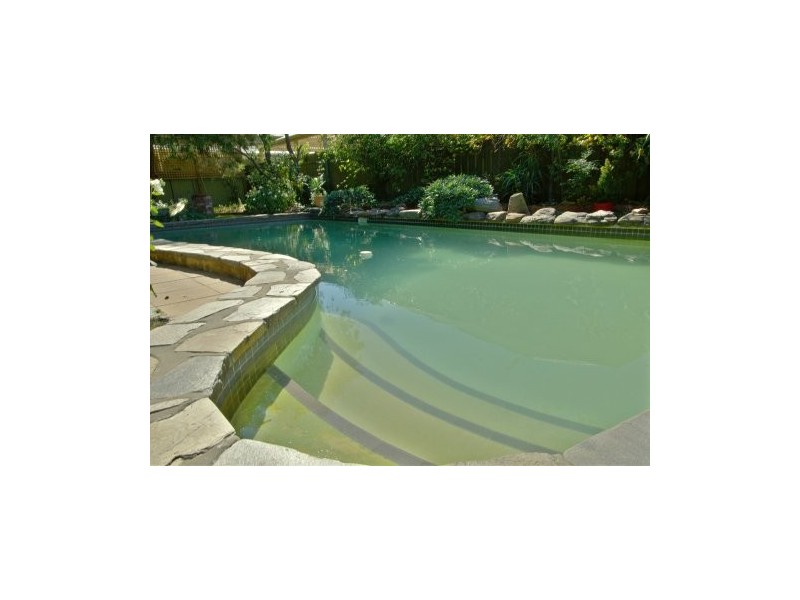 54 Bakewell Road, Evandale SA 5069