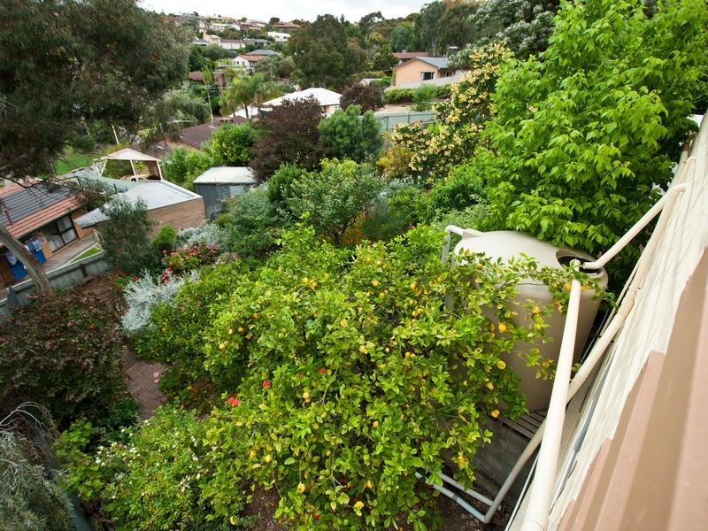 5 Fowler Street, Seaview Downs SA 5049