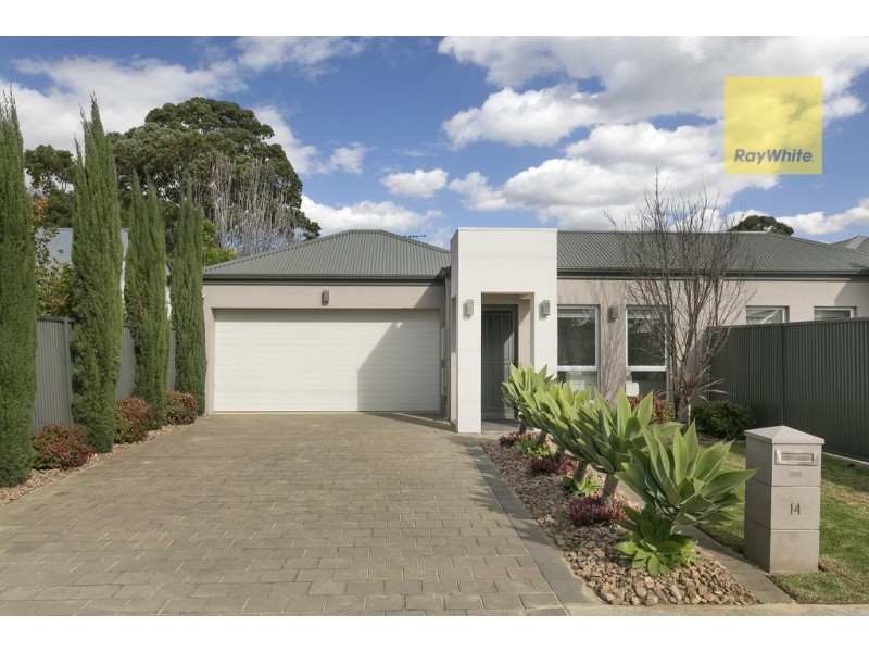 14 Stanley Street, Glengowrie SA 5044