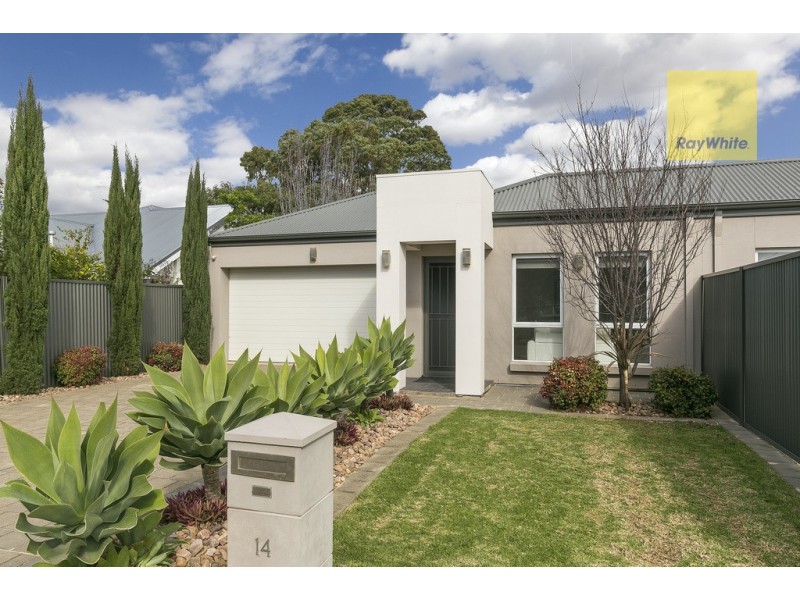 14 Stanley Street, Glengowrie SA 5044