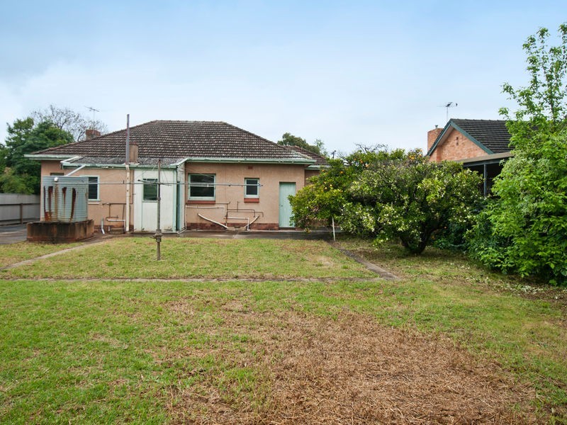 11 Brinkworth Street, South Plympton SA 5038