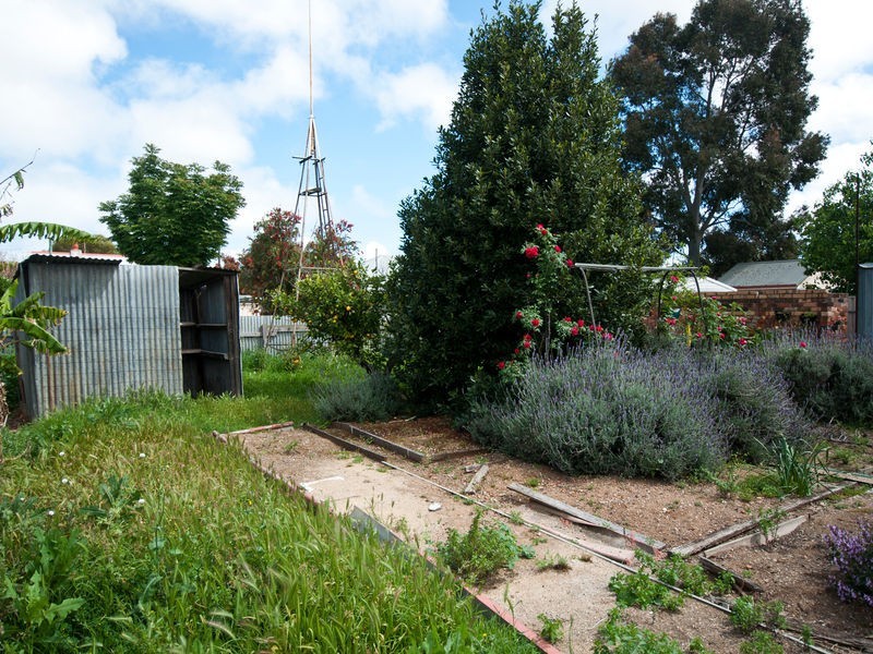 26 Winifred Avenue, South Plympton SA 5038