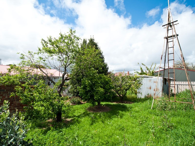 26 Winifred Avenue, South Plympton SA 5038