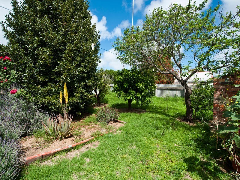 26 Winifred Avenue, South Plympton SA 5038