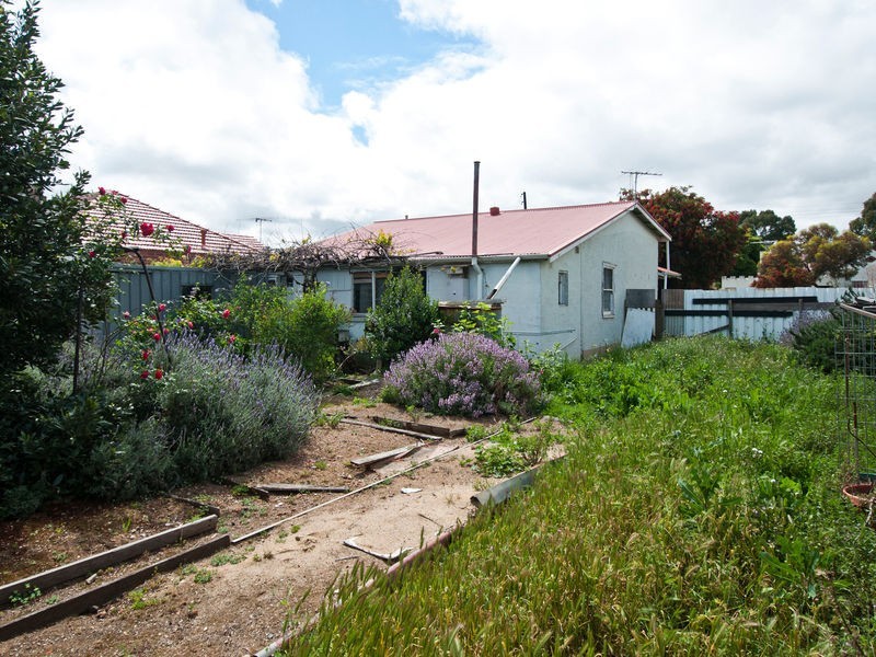 26 Winifred Avenue, South Plympton SA 5038