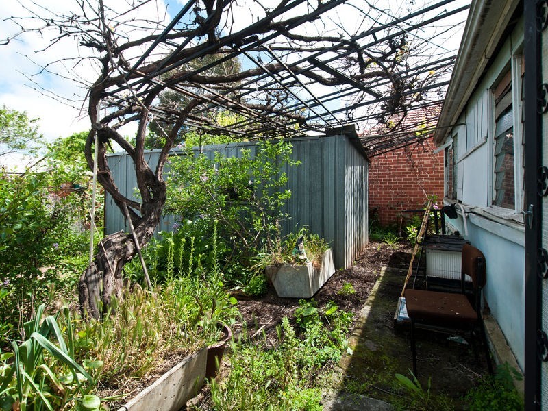 26 Winifred Avenue, South Plympton SA 5038