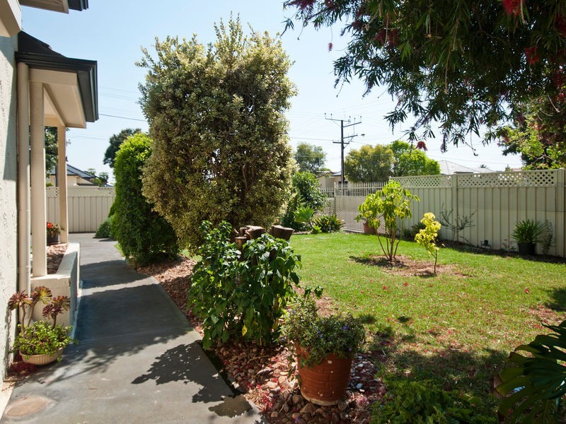 25 Neston Avenue, Plympton SA 5038