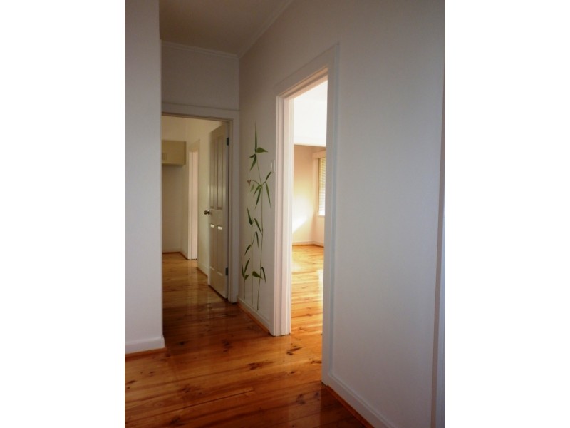 37 Gray Street, Plympton SA 5038