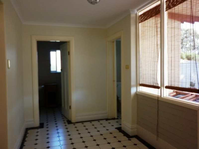 5 Lincoln Avenue, Plympton SA 5038