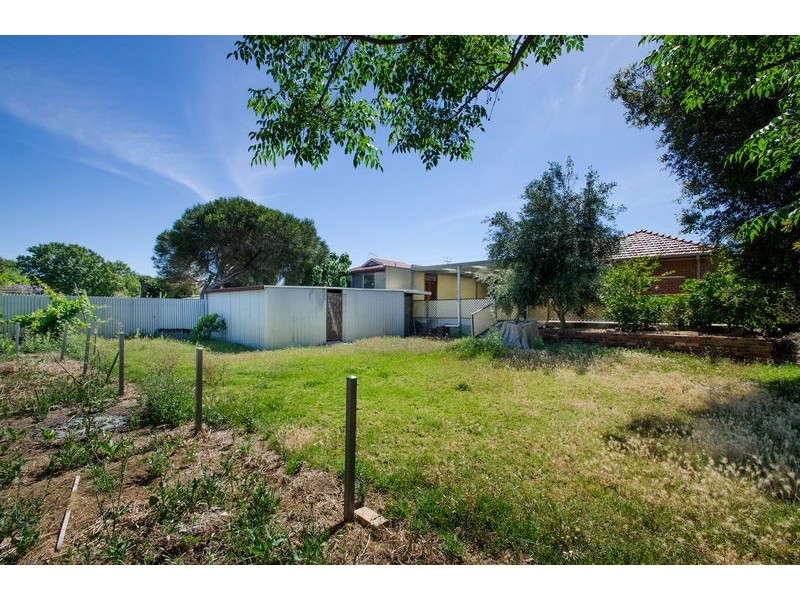 16 Wood Street, Kurralta Park SA 5037