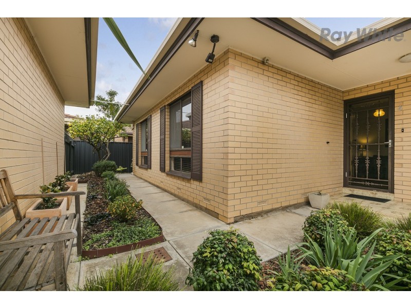 4/113 Cliff Street, Glengowrie SA 5044