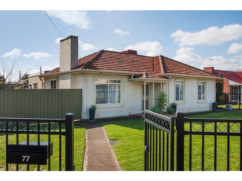 77 Castle Street, South Plympton SA 5038