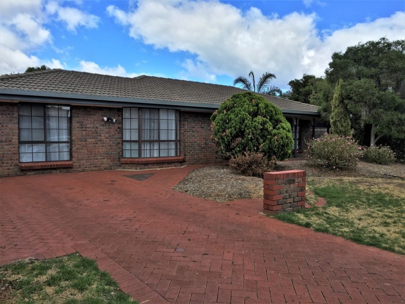 17 Bartlett Drive, Novar Gardens SA 5040