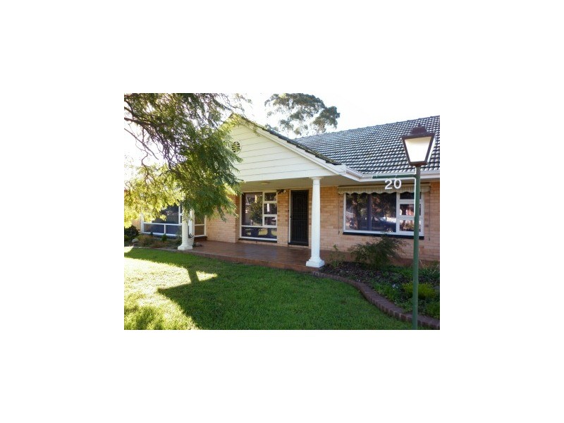 20 Kenton Street, Lockleys SA 5032