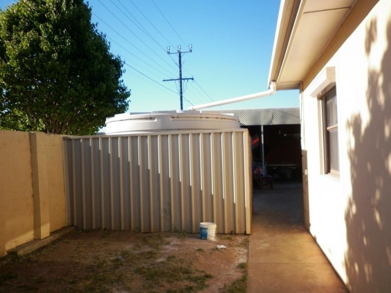 53 Penong Avenue, Camden Park SA 5038