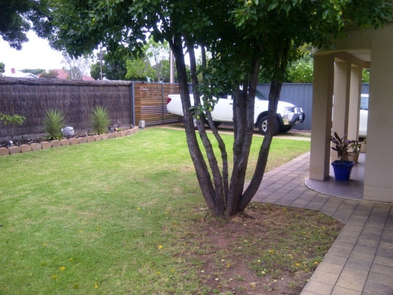 313 Anzac Highway, Plympton SA 5038