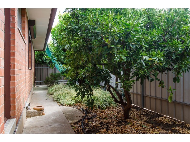 16 Avalon Road, Marion SA 5043