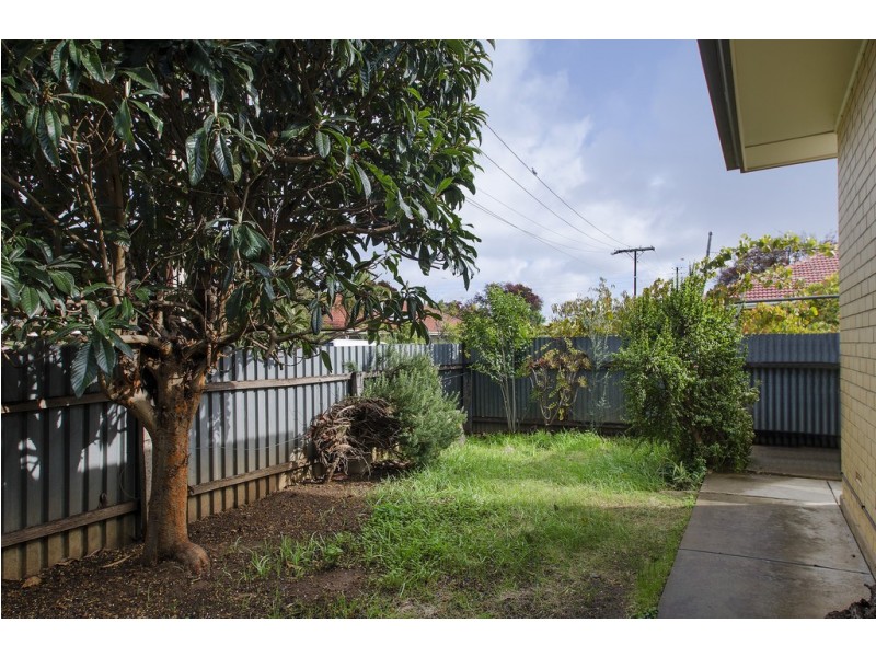 5/17 Elizabeth Avenue, Plympton SA 5038