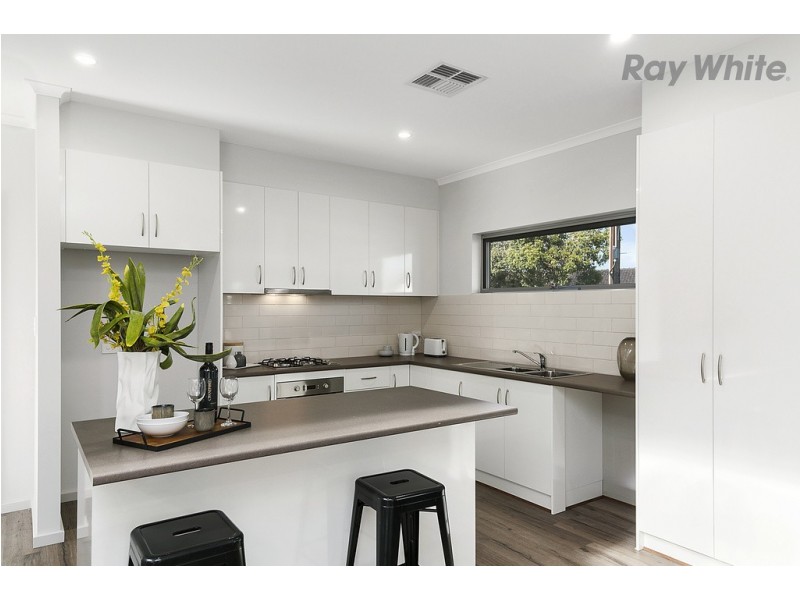 67 Davenport Terrace, Hilton SA 5033